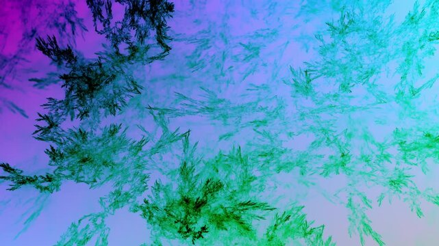 detailreiche filigrane organische Struktur &ndash; faszinierendes Gew&auml;chs, Alge, Gewebe, Forschung, Natur, Biologie,  Wissenschaft, Forschung, gr&uuml;n
