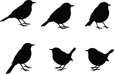 Set of perched bird silhouettes in different poses, black vector illustration for decorative clipart, wildlife design, nature artwork and patterns
