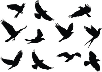 Flying bird silhouettes set, flock of pigeons and doves in various wing positions, black vector illustration, decorative wildlife clipart design