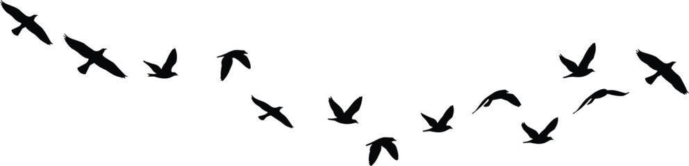 Flying birds in V formation silhouette, migrating flock illustration, wild geese vector artwork, nature wildlife clipart, black graphic design set