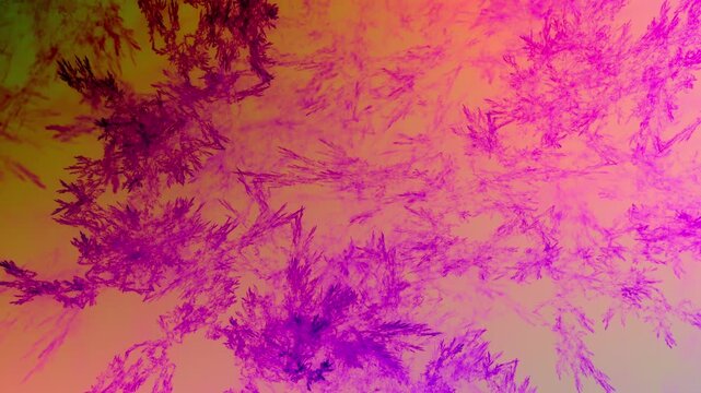 detailreiche filigrane organische Struktur &ndash; faszinierendes Gew&auml;chs, Alge, Gewebe, Forschung, Natur, Biologie,  Wissenschaft, Forschung, rot