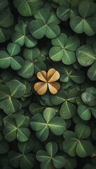 A single golden fourleaf clover emerges from a sea of green