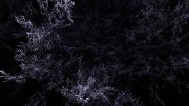 detailreiche filigrane organische Struktur &ndash; faszinierendes Gew&auml;chs, Alge, Gewebe, Forschung, Natur, Biologie,  Wissenschaft, Forschung, grau