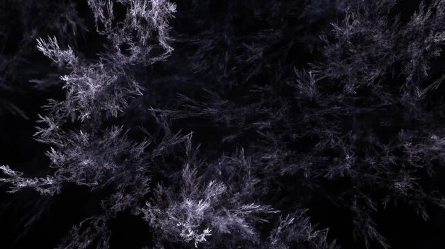 detailreiche filigrane organische Struktur &ndash; faszinierendes Gew&auml;chs, Alge, Gewebe, Forschung, Natur, Biologie,  Wissenschaft, Forschung, gr&uuml;n
