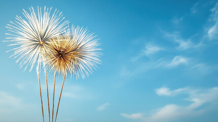 Obraz premium Fireworks burst brightly against clear blue sky, creating festive atmosphere