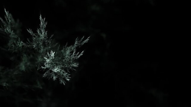 detailreiche filigrane organische Struktur &ndash; faszinierendes Gew&auml;chs, Alge, Gewebe, Forschung, Natur, Biologie,  Wissenschaft, Forschung, gr&uuml;n

