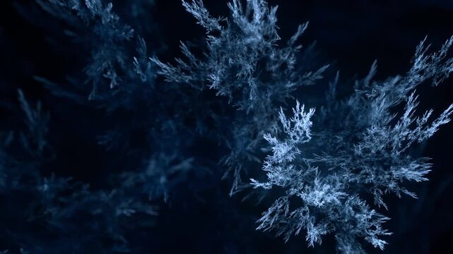 detailreiche filigrane organische Struktur &ndash; faszinierendes Gew&auml;chs, Alge, Gewebe, Forschung, Natur, Biologie,  Wissenschaft, Forschung, gr&uuml;n
