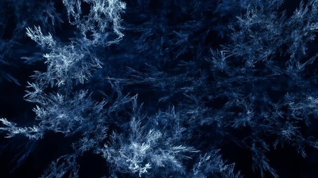 detailreiche filigrane organische Struktur &ndash; faszinierendes Gew&auml;chs, Alge, Gewebe, Forschung, Natur, Biologie,  Wissenschaft, Forschung, gr&uuml;n
