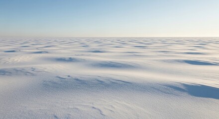 Endless White - A Snowy Expanse Under a Pale Sky.