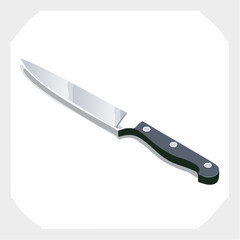 Sharp kitchen knife with sleek metallic blade and dark ergonomic handle for culinary precision