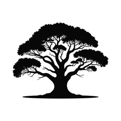 Majestic silhouette of a large spreading tree with intricate branches and full foliage against a plain backdrop.