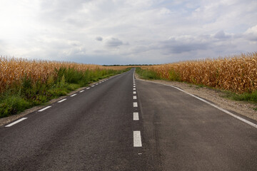 Straight asphalt country road with white markings surrounded by farmland and fields under a cloudy sky