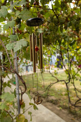 Metal wind chime hanging among grapevines in a countryside garden.
