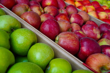 Apples are arranged in containers in a large garden. Harvesting.