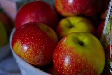 Apples are arranged in containers in a large garden. Harvesting.