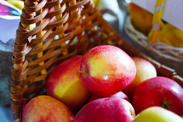Apples are arranged in containers in a large garden. Harvesting.