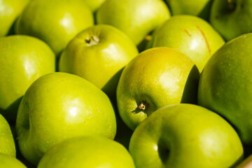 Apples are arranged in containers in a large garden. Harvesting.