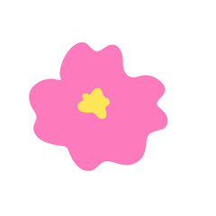 fluffy pink flower