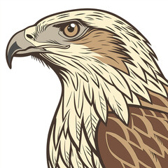 realistic bird vector