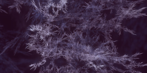 Filigrane mikroskopische hochdetaillierte violette Strukturen für Forschung, Biologie und Gesundheitswissenschaften, Natur, Wachstum, Algen
