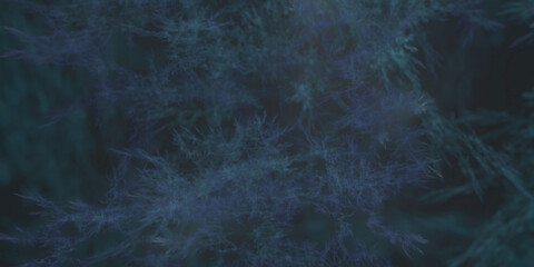 Filigrane mikroskopische hochdetaillierte blaue Strukturen für Forschung, Biologie und Gesundheitswissenschaften, Natur, Wachstum, Algen
