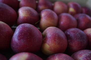 Apples are arranged in containers in a large garden. Harvesting.
