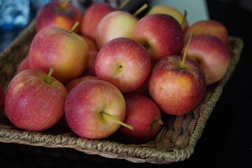 Apples are arranged in containers in a large garden. Harvesting.
