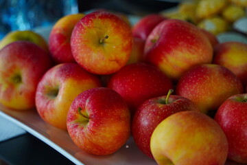Apples are arranged in containers in a large garden. Harvesting.