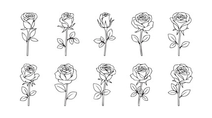 Collection of hand drawn rose flowers with stems and leaves sketch line art silhouette © Marzina Begum