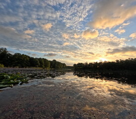 a scenic lake with pink lotus flowers in the lake
