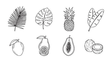 Tropical fruit and leaf collection hand drawn sketches for natural organic design elements silhouette