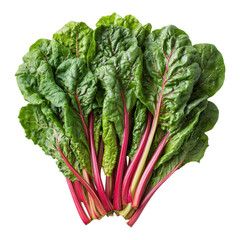 Fresh and vibrant Swiss chard leaves with rich green and red colors on transparent background