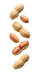 Peanuts PNG. Raw and fresh peanuts falling down isolated. Peanut in shell scattered png. Organic peanuts for diet and wellness visuals isolated