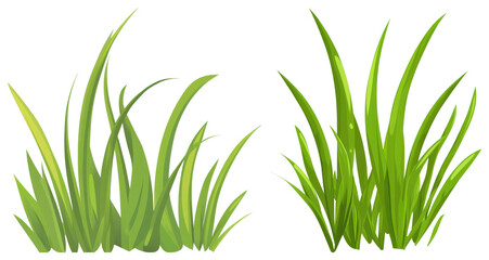 Fototapeta premium PNG Vibrant green grass illustration, element set on transparent background