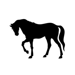 Obraz premium Horse Silhouette vector on white background,horse silhouette image,horse sillhouette illustration ,horse silhouette design background 
