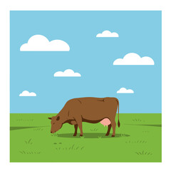 Brown cow grazing peacefully in a lush green pasture under a bright blue sky with fluffy white clouds