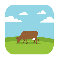 Brown cow grazing peacefully in a vibrant green pasture under a bright blue sky with fluffy white clouds