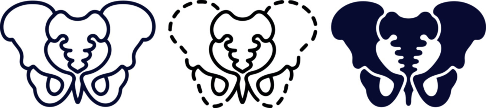 Human pelvis bone anatomy medical diagram illustration set vector