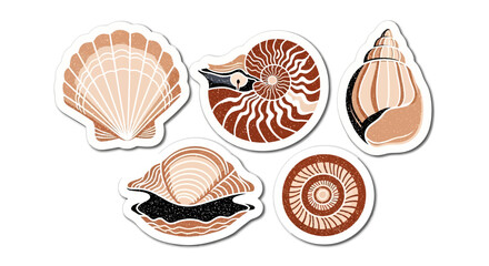 Illustration Set Vector Collection of Seashells with Brown Accents in a Modern Style Nautical Vector Elements