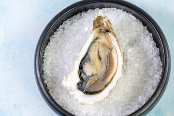 open oyster