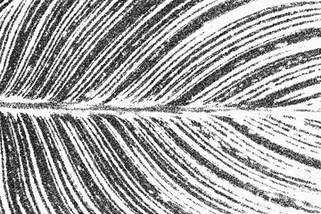 leaf art texture featuring an abstract dot pattern. High-quality vector background ideal for creative layouts, posters, and digital design materials.