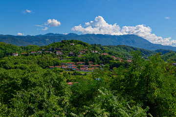 Naklejka premium Beautiful Slovenian village on top of the hill across the Italian border. View from Gorizia. Lush green forest and mountains in the background. Village near Pristava, Nova Gorica on a summer day.