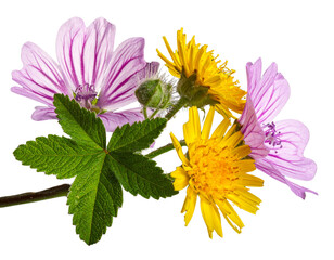 Wildflower Arrangement in Side Angle, Isolated