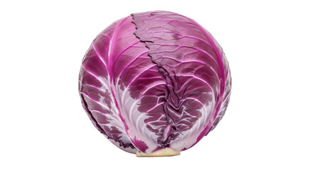 Obraz premium Isolated purple cabbage on a neutral background, vibrant healthy eating, colorful food