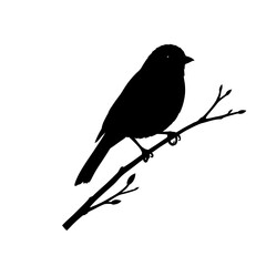 Silhouette of a small bird perched on a bare branch against a clean white background