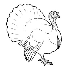 Line art drawing of a male turkey with a fanned tail feathers and a proud stance