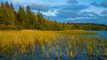 Lake Pyadkyarvi in Karelia