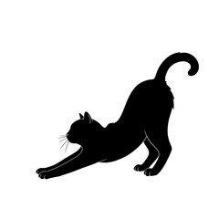 Silhouette of a black cat stretching its body with its front legs extended and tail curved upwards
