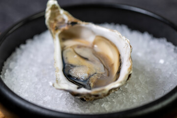 open oyster