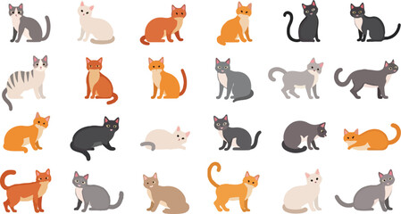 A set of 24 different looking cat and their position